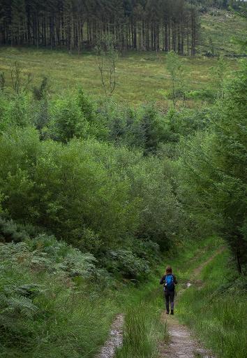 Slieve Bloom Way (Long-Distance Circuit)