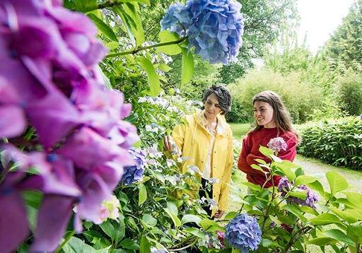 Roam the Gardens