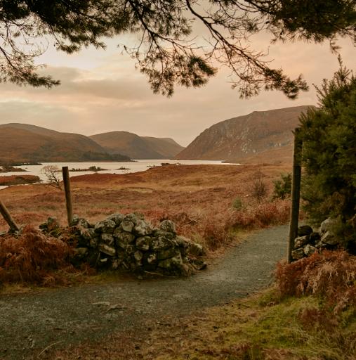Spot Golden Eagles & Red Deer