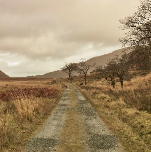 Tackle the Glen (Bridle Path) Walk