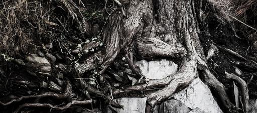 Genealogy research