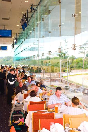 Watch Live Greyhound Racing