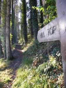 Knockomagh Hill nature trail
