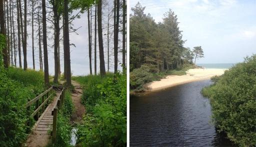 Explore Courtown Woods & Beach
