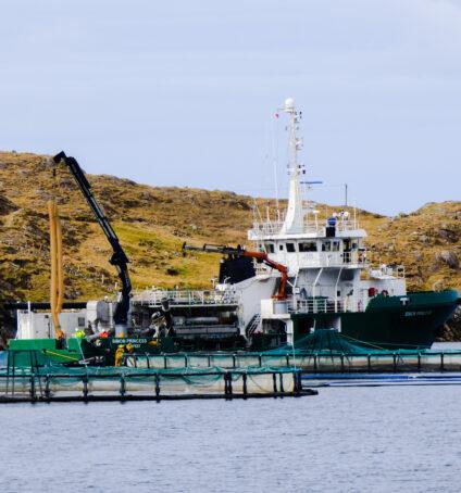 Aquaculture & Working Fjord