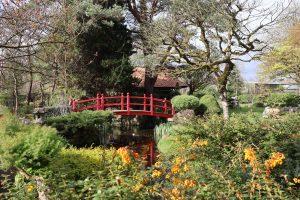 Walk the Japanese Gardens