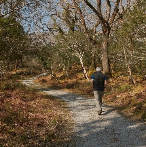 Walking & Hiking Trails