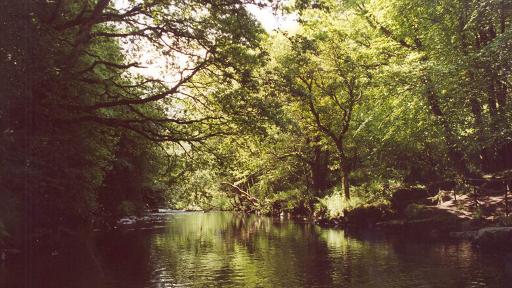 Picnic by the River