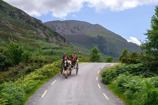 Ride a Jaunting Car (Pony & Trap)