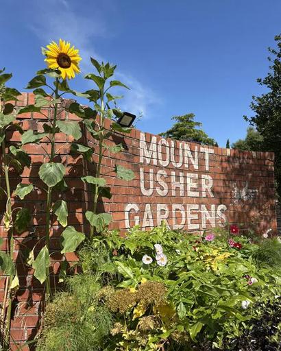 Explore the Garden Centre