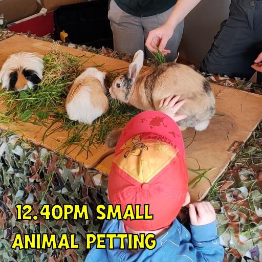 Meet the Animals
