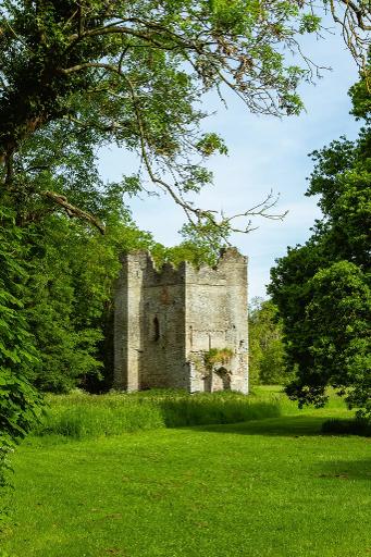 Parkland & Lanistown Castle