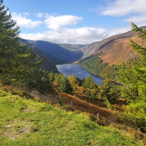 Derrybawn Woodland Trail (Orange Route)