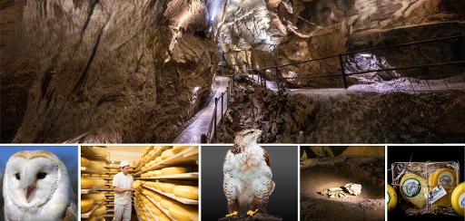 Aillwee Cave Guided Tour