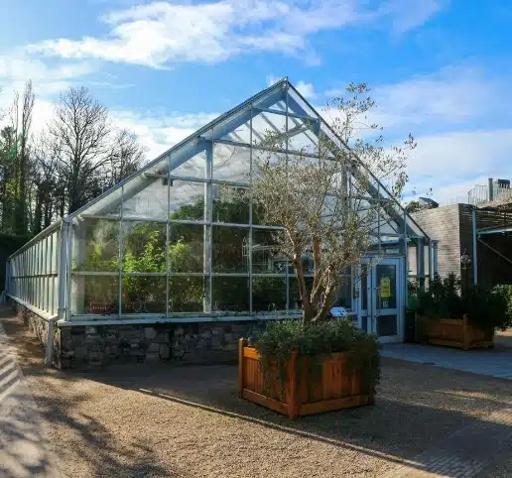 Butterfly House