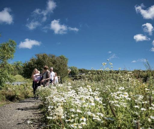 Eco-Trail Walk