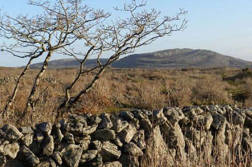 The Farm & Wildlife