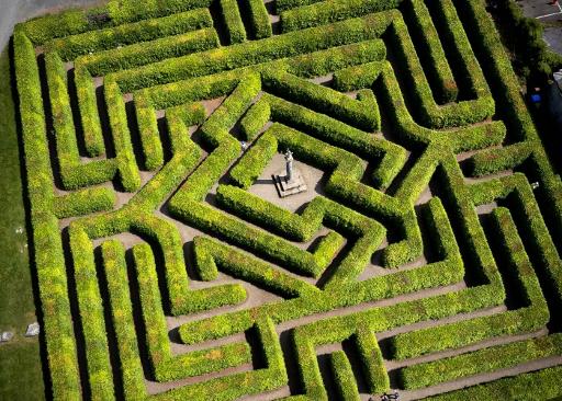 The Maze