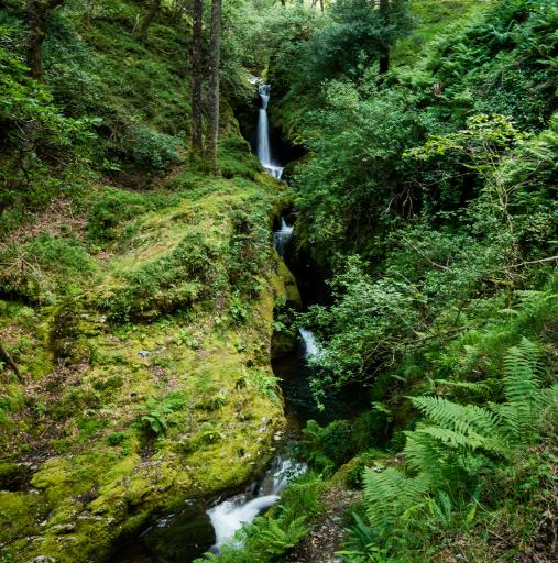 Poulanass Waterfall (Pink Route)