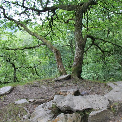 Glendalough Monastic City