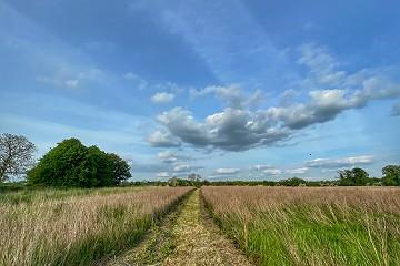 Meadow and farm walks