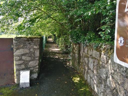 Take the short field path