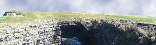 Seabird watching
