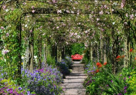 Herbaceous Border & Rose Pergola