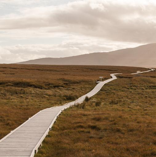 Walk the Boardwalk Loop