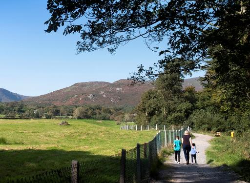 The Main Woodland Trail