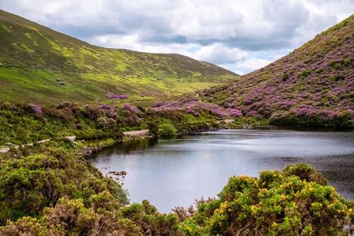 Bay Lough Walk