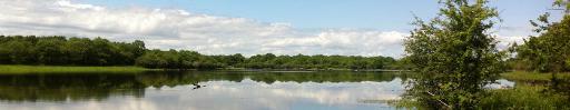 Hike the Seven Woods Trail (4.5 km)