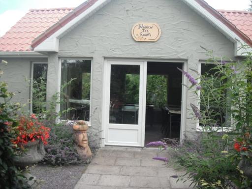 Tea room and picnic lawns