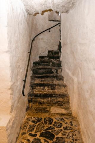 Climb the Trip Stairs