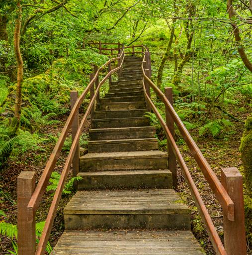 Ellis Wood Nature Trail