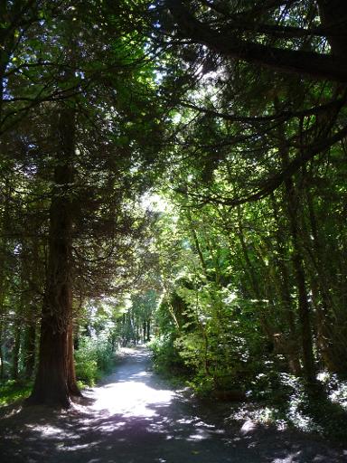 Walk the Family Trail (1.75 km)