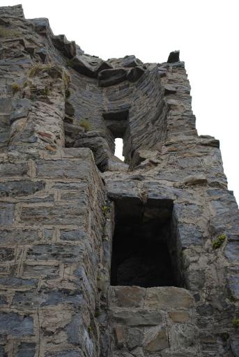 Explore the Castle Ruins