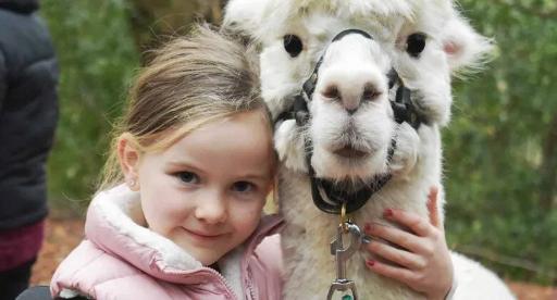 Kids Alpaca Experience
