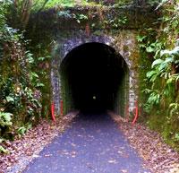 Walk or cycle through the tunnel