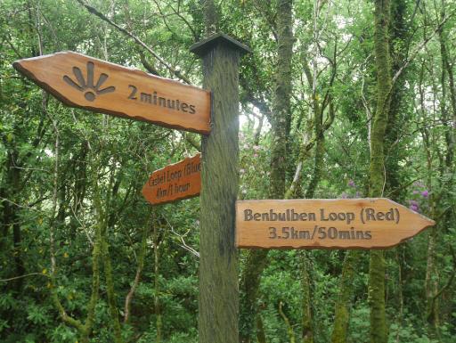 Multi-Access Trail (250m)