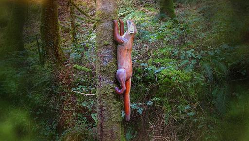 Wooden Sculpture Trail