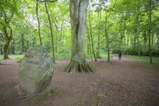 The O'Tuathaill Walk