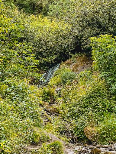 Seek Out the Waterfall