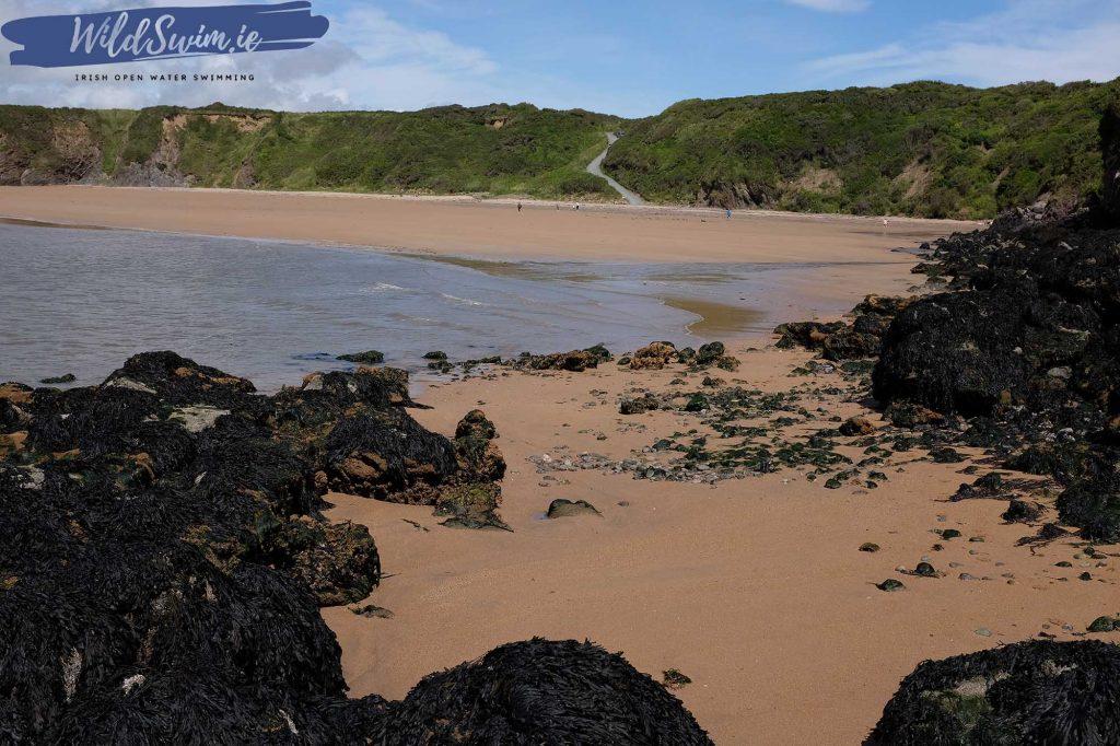 Dollar Bay photo 3