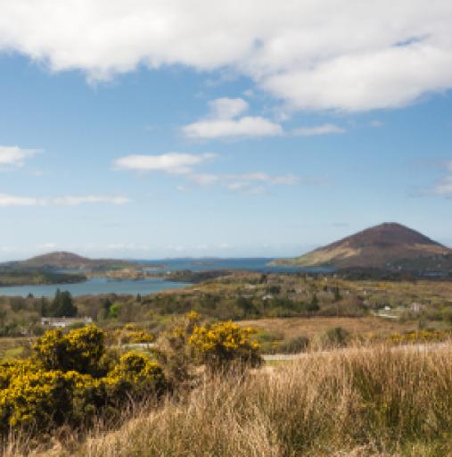 Sruffaunboy Trail & Connemara Ponies