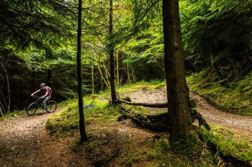 Mountrussell Blue Loop (17km)