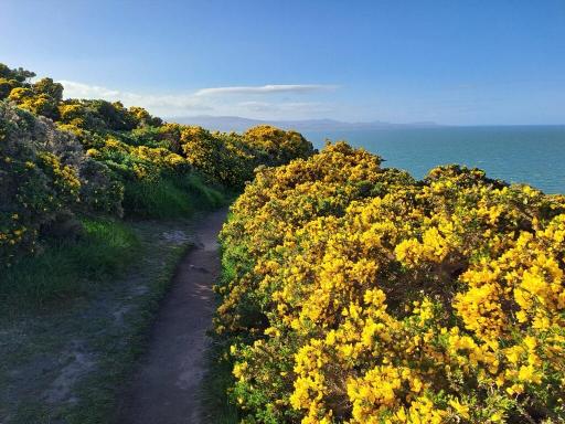 Visit Wicklow Head Lighthouse