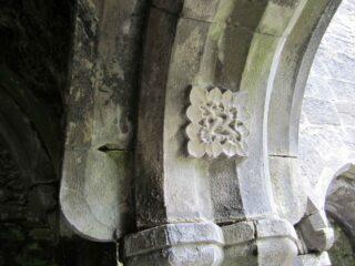 Find the Love Knot in the Cloister