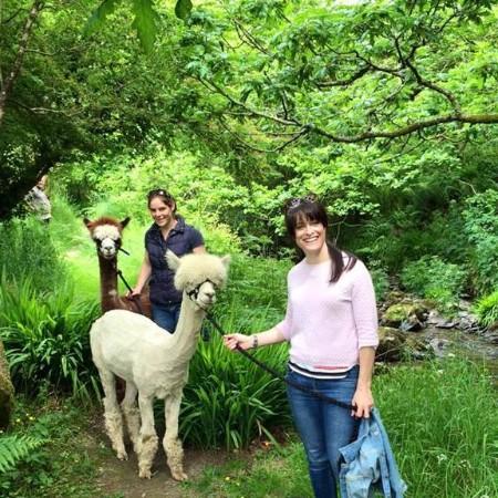 Alpaca walks