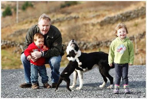 Sheepdog demonstration